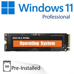 M.2 NVMe SSD + Windows 11